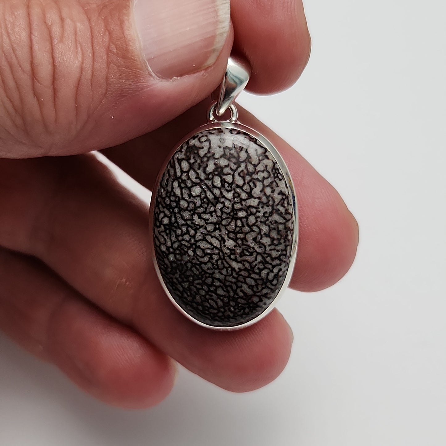 Dinosaur Bone Pendant