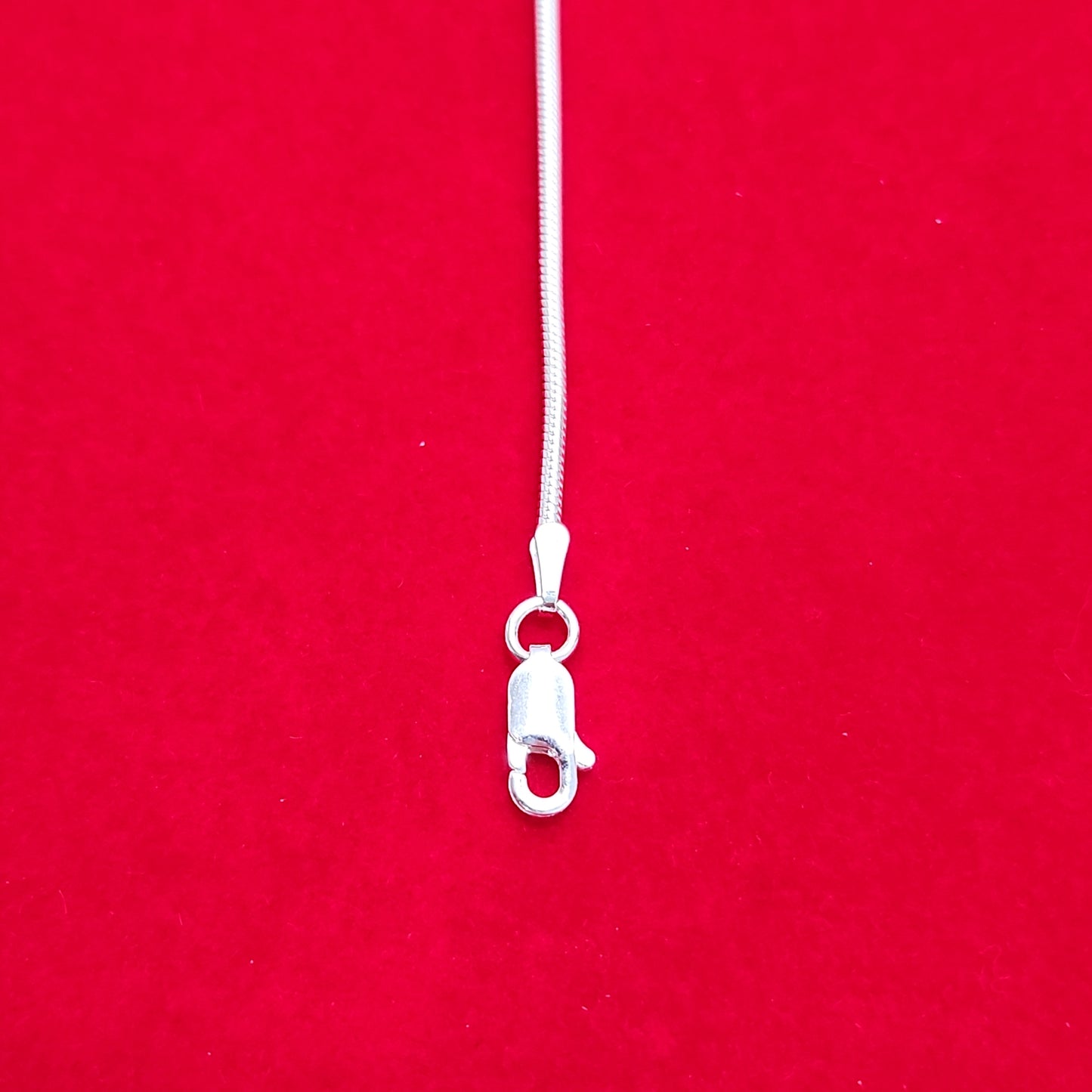 Snake Chain Anklet