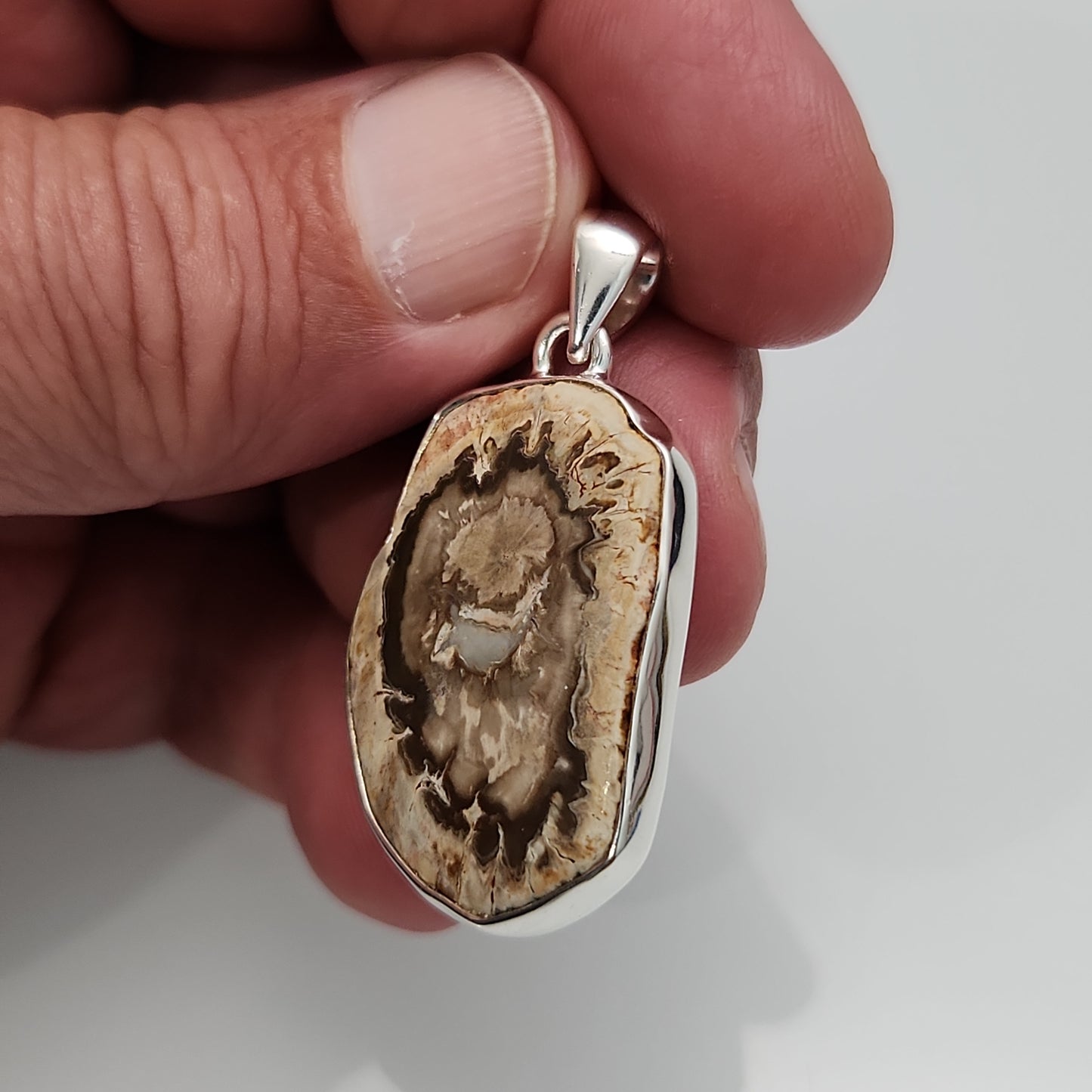 Petrified Wood Pendant
