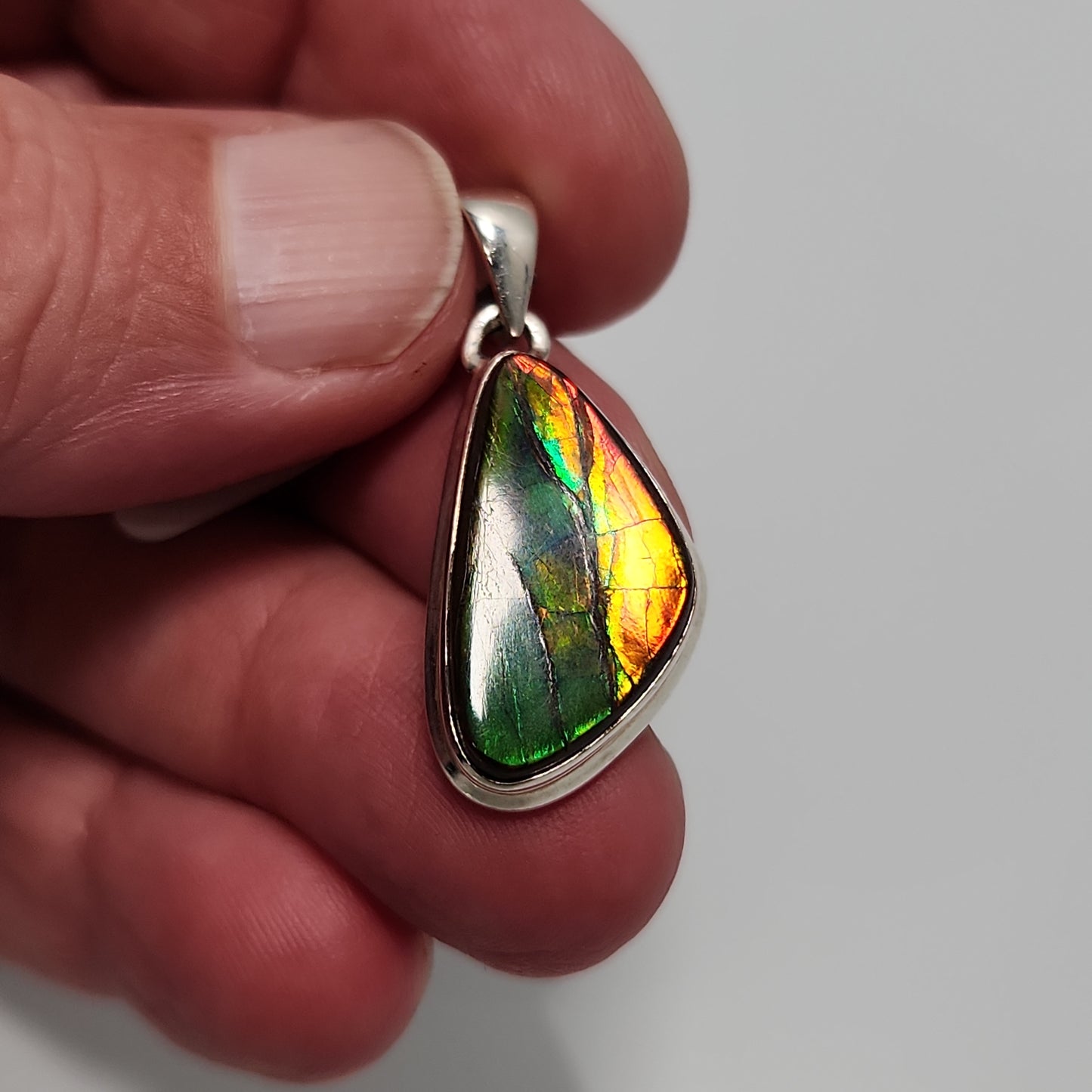 Ammolite Pendant