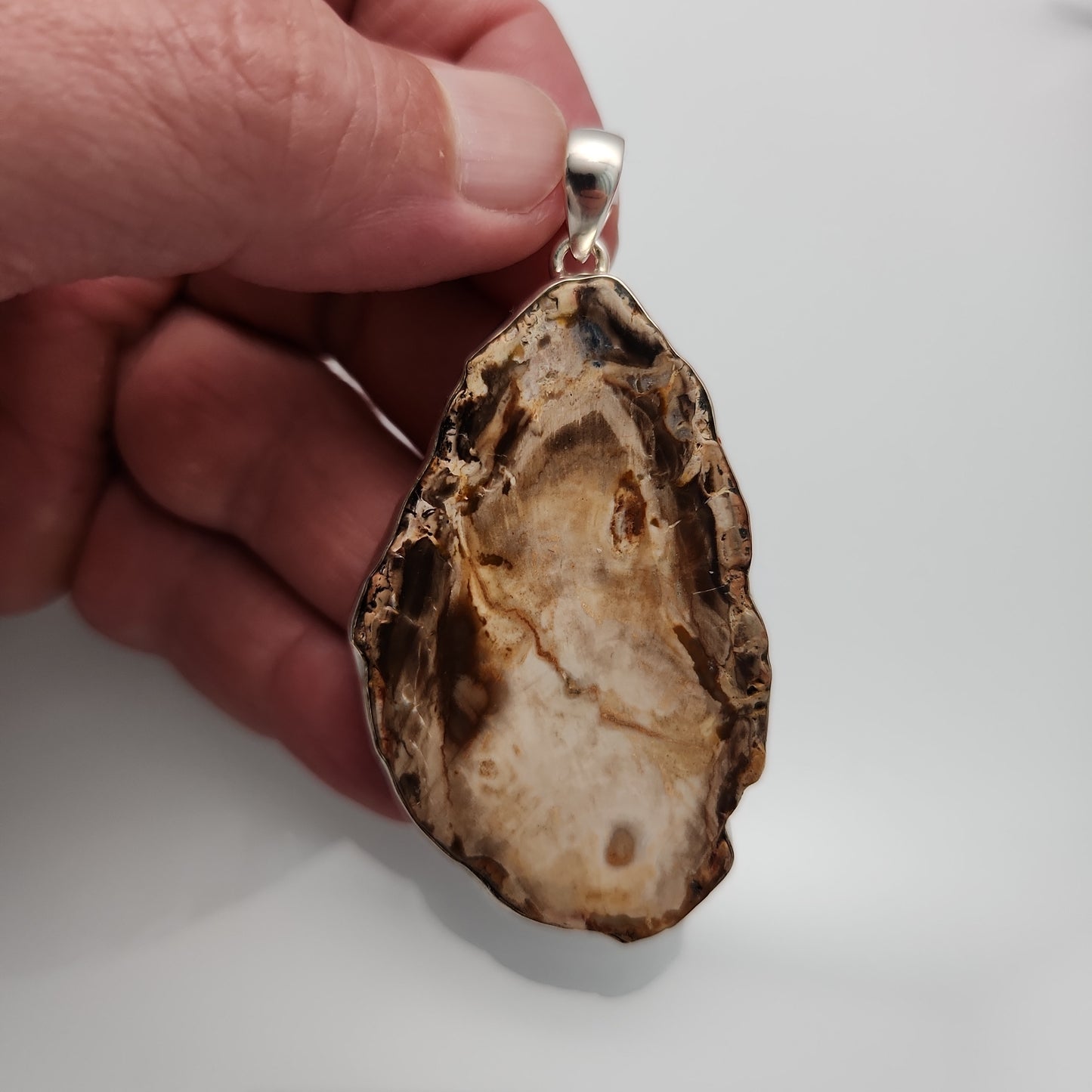 Petrified Wood Pendant