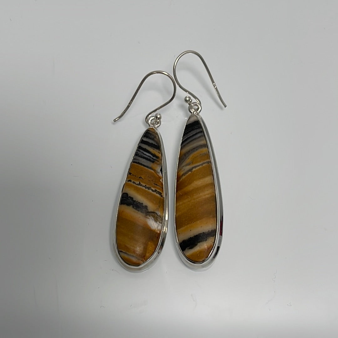 Petrified Wood Earrings