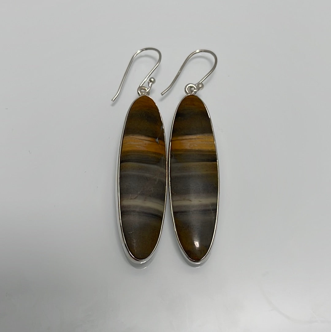 Petrified Wood Earrings