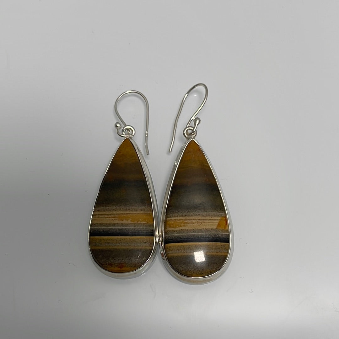 Petrified Wood Earrings