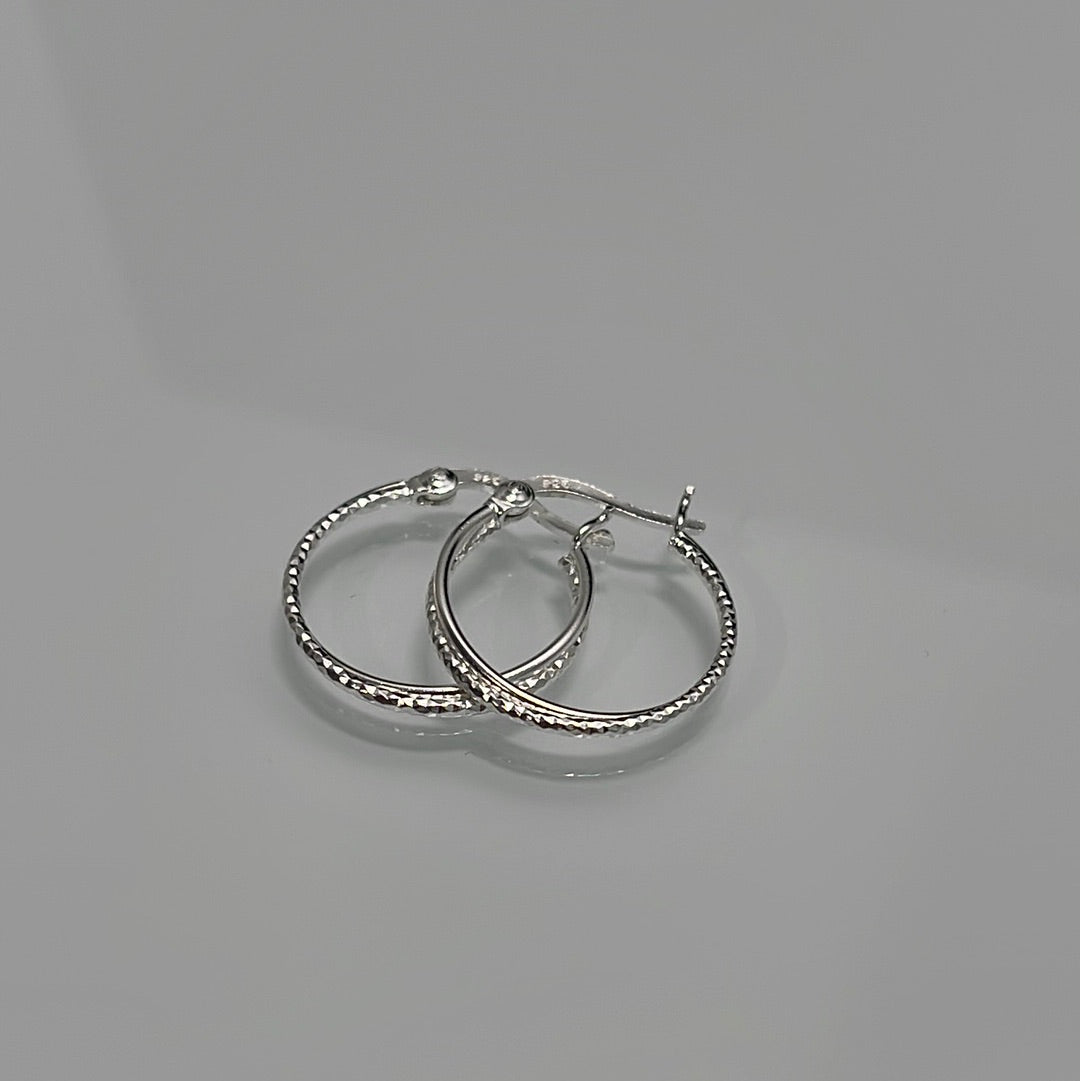 Twisted Hoop Earrings