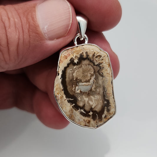 Petrified Wood Pendant