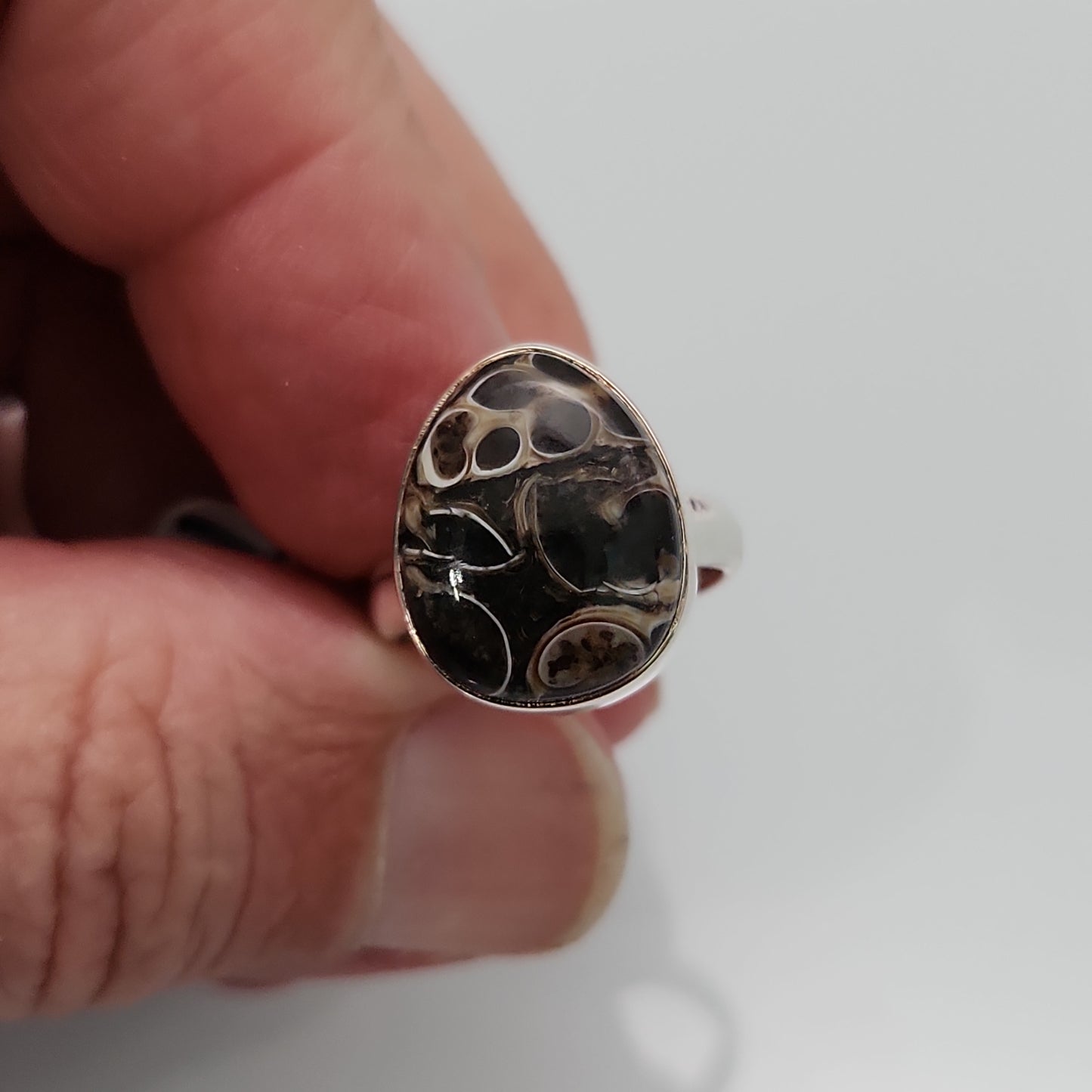 Turritella Fossil Ring sz 6.5