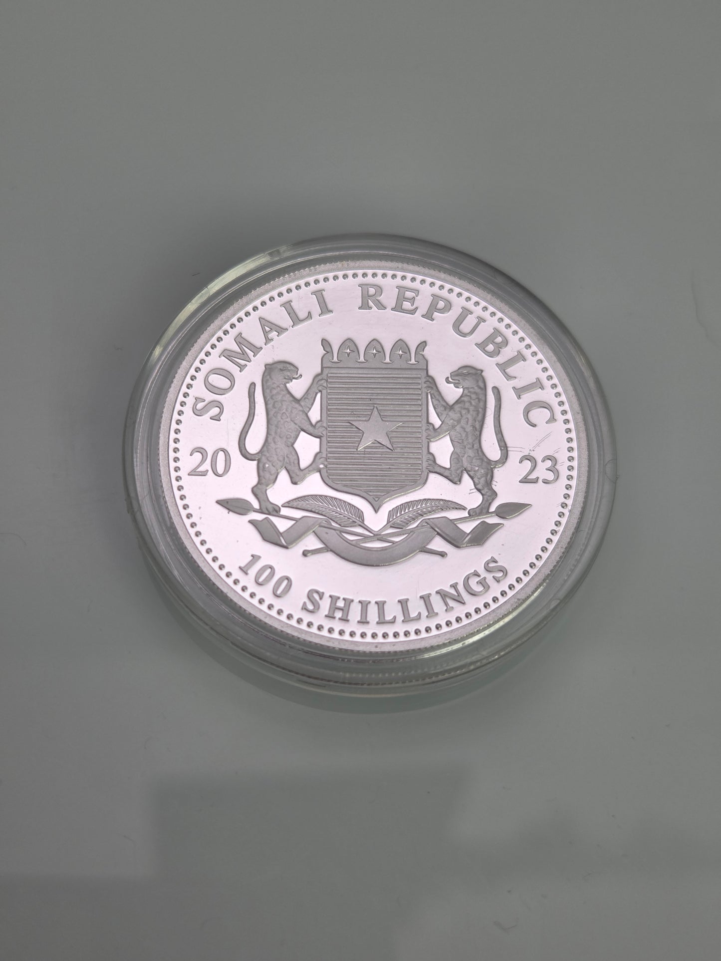 .999 Pure Silver One Ounce Coin