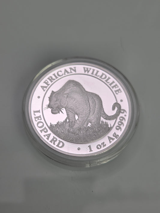 .999 Pure Silver One Ounce Coin