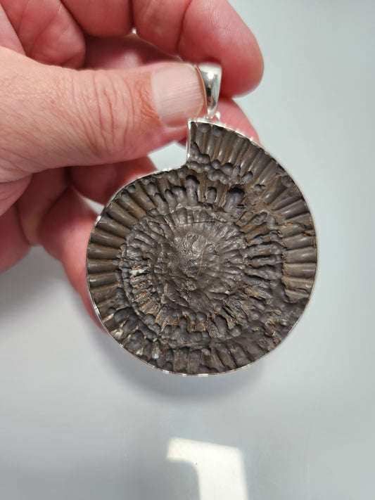 Ammonite Fossil Pendant