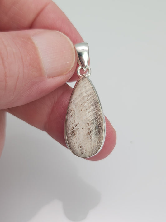 Petrified Wood Pendant