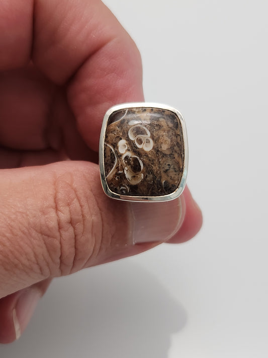 Turritella Ring sz 6.5