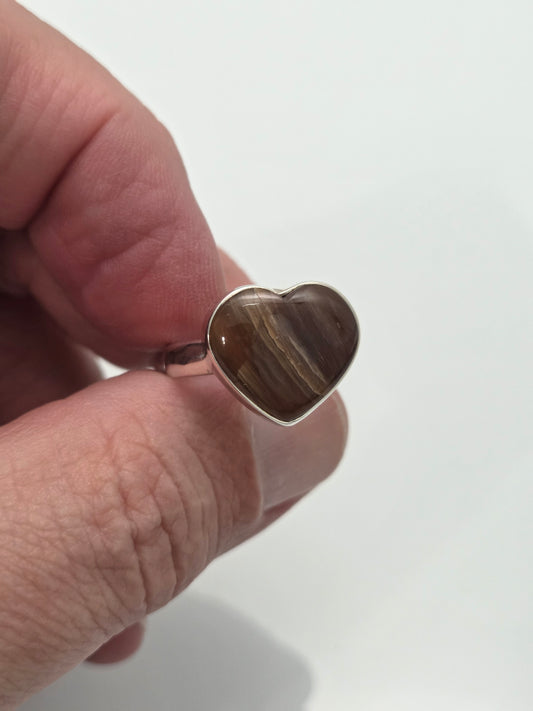 Petrified Wood Ring sz 9