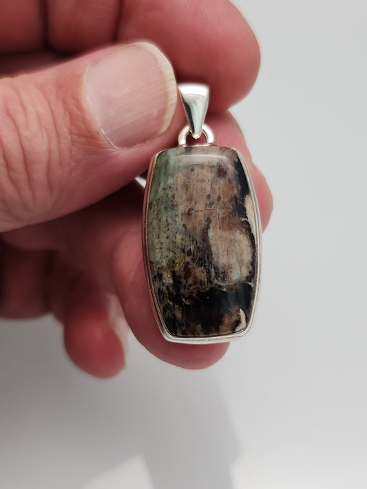 Petrified Wood Pendant