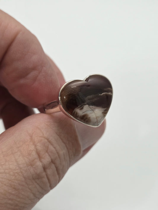 Petrified Wood Ring sz 12