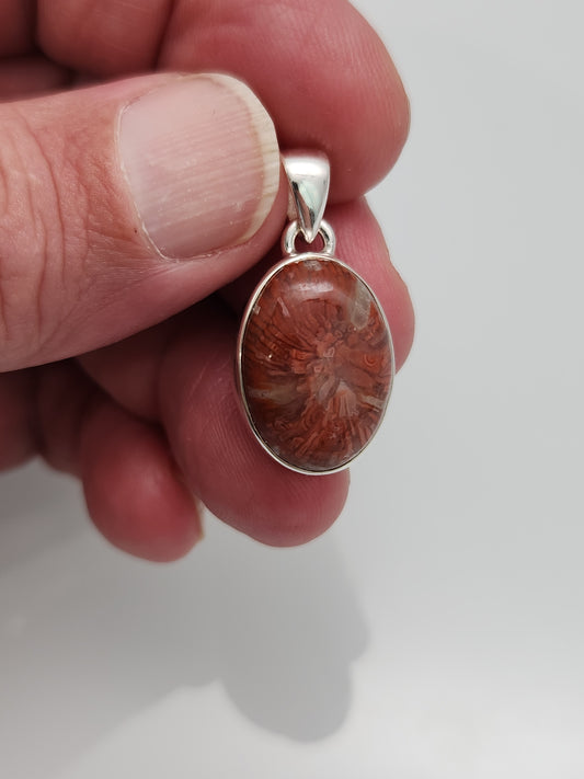 Red Horn Coral Pendant