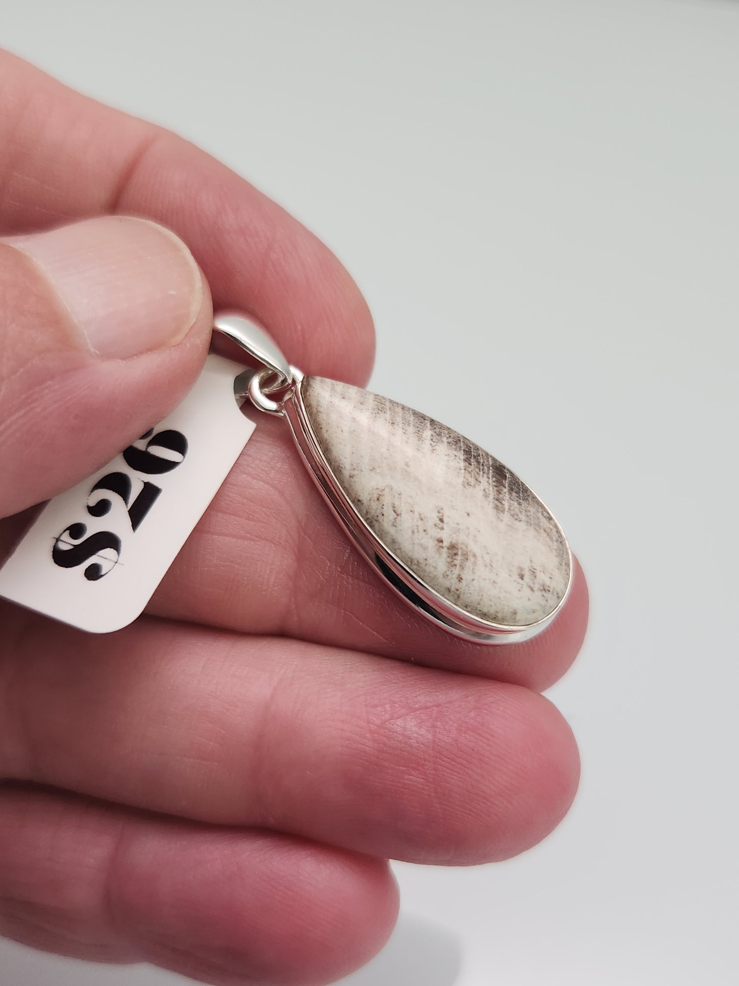 Petrified Wood Pendant